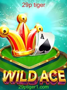 WildAce: Descobrindo o Mundo do Jogo com a Palavra-Chave 29p Tiger